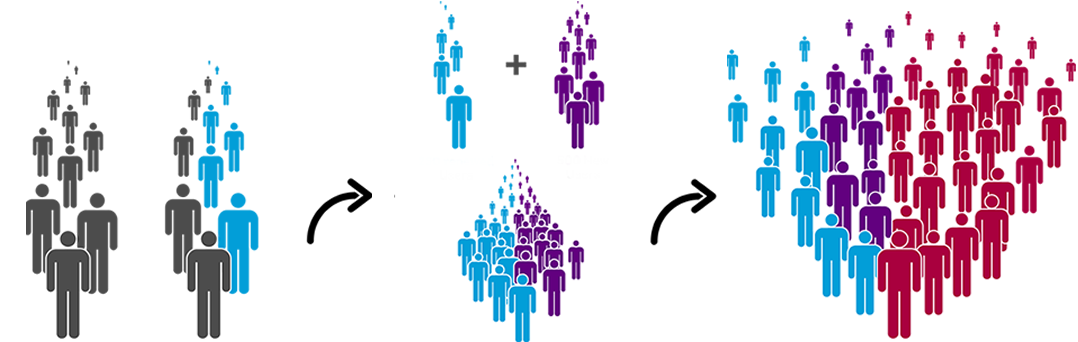 GROWING AND CONTINUOUS INCOME